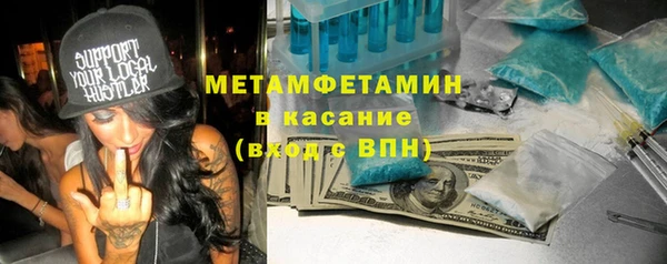 индика Алексин