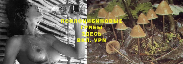 2c-b Аркадак